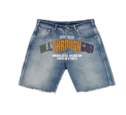 Multi-Color Denim Shorts